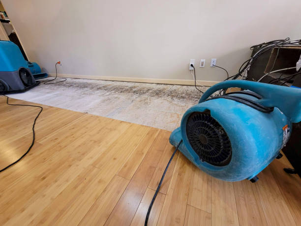 Professional Burst Pipe Water Damage technician working in Philo, OH